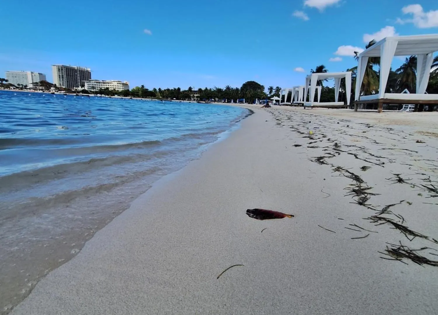 Beach One Bedroom 2 Ocho Rios Aparthotel